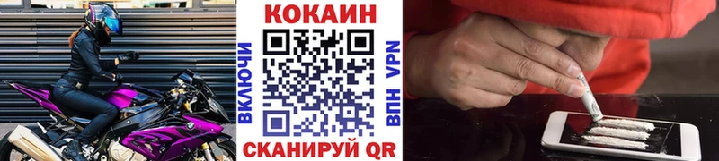 Cocaine FishScale  закладка  Новошахтинск 