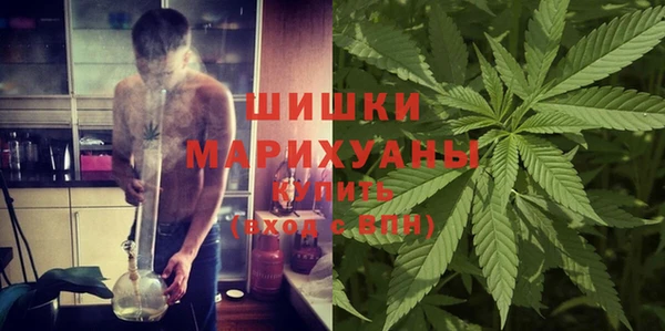 ешки Алзамай
